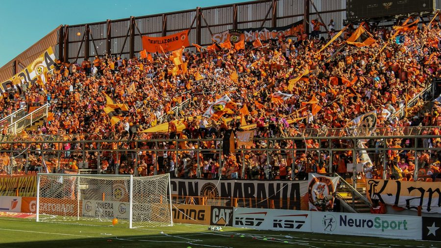 开云 APP — 备案与主体（资质公示示意配图）